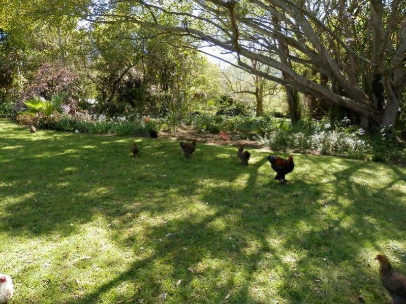 Braeside Guest House (Adults Only) Swellendam Exterior photo